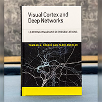 The book "Visual Cortex and Deep Networks"