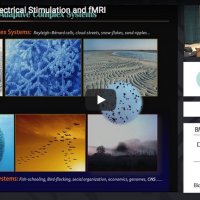 DES-fMRI: Direct electrical stimulation and fMRI