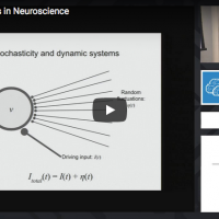 Dynamical Systems in Neuroscience