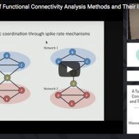 A Tutorial Review of Functional Connectivity Analysis Methods and Their Interpretational Pitfalls