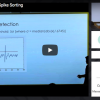 An Introduction to Spike Sorting