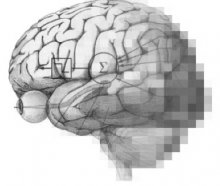 human brain with equations on it an pixalation occuring