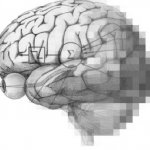 human brain with equations on it an pixalation occuring