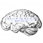 Learning and Reasoning in Symbolic Domains