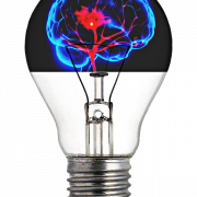 lightbulb with a brain inside