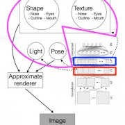 Computational Principles of Macaque Face Processing System