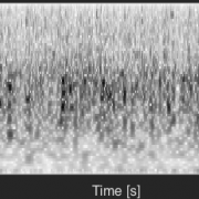 Lossy Compression in Auditory Perception