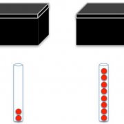 Understanding one's own perceptual abilities