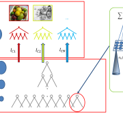 Invariance and Selectivity in Representation Learning