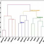 Human language learning