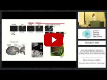 Embedded thumbnail for Electrophysiological and optogenetic characterization of feature attention and working memory across the primate cortex