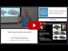 Embedded thumbnail for What&amp;#039;s special about human brains? (14:48)