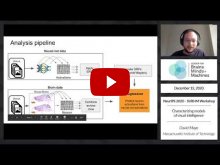 Embedded thumbnail for Characterizing models of visual intelligence