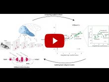 Embedded thumbnail for Brain-Like Object Recognition with High-Performing Shallow Recurrent ANNs [video]