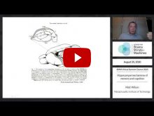 Embedded thumbnail for Hippocampal mechanisms of memory and cognition