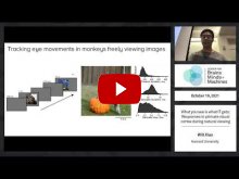 Embedded thumbnail for What you see is what IT gets: Responses in primate visual cortex during natural viewing