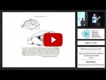 Embedded thumbnail for Hippocampal memory, cognition, and the role of sleep - part 1