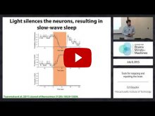 Embedded thumbnail for Tools for mapping and repairing the brain [part 3] (19:58)