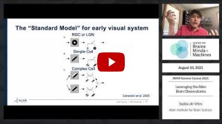 Embedded thumbnail for Leveraging the Allen Brain Observatories