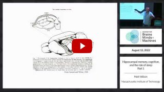 Embedded thumbnail for Hippocampal memory, cognition, and the role of sleep - part 1