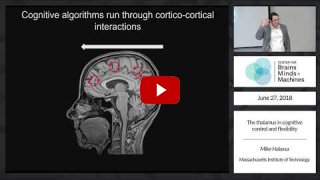 Embedded thumbnail for The thalamus in cognitive control and flexibility (1:19:21)