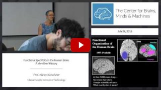 Embedded thumbnail for Functional Specificity in the Human Brain: A Very Brief History (12:41)