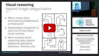 Embedded thumbnail for What are the computations underlying primate vs. machine vision?