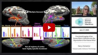 Embedded thumbnail for Functional Imaging of the Human Brain: A Window into the Organization of the Human Mind