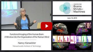 Embedded thumbnail for Functional Imaging of the Human Brain: A Window into the Organization of the Human Mind (1:18:25)