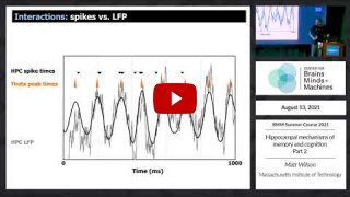 Embedded thumbnail for  Hippocampal mechanisms of memory and cognition: Part 2