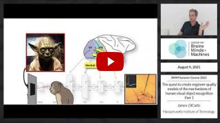 Embedded thumbnail for The quest to create engineer-quality models of the mechanisms of human visual object recognition: Part 1