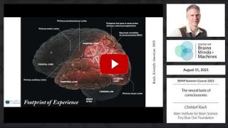 Embedded thumbnail for The neural basis of consciousness